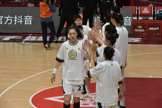 久久99精品久久久久久久野外