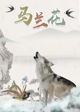美女进入网站