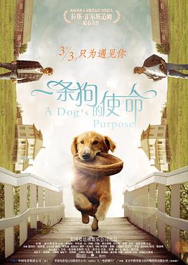 国产乱码精品一区二区三区四川