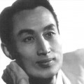 中文久久激情