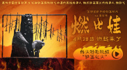 gogogo高清在线观