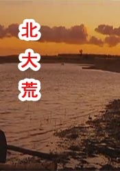 综合国产福利视频在线观看