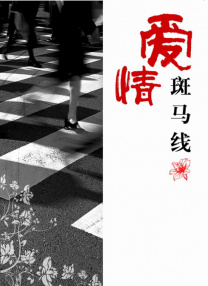 国产乱妇乱子在线播视频播放网站