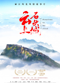 免播放器在线