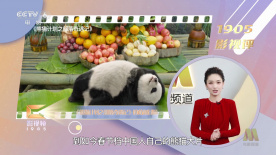 国产免费久久